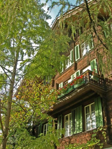 Apartments Dr. Med. Vet. Tempelman Інтерлакен Екстер'єр фото