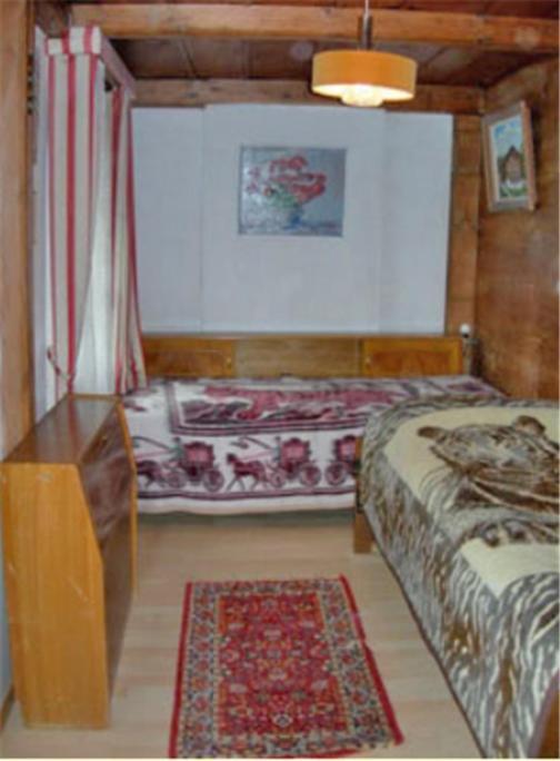 Apartments Dr. Med. Vet. Tempelman Інтерлакен Номер фото