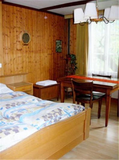 Apartments Dr. Med. Vet. Tempelman Інтерлакен Номер фото